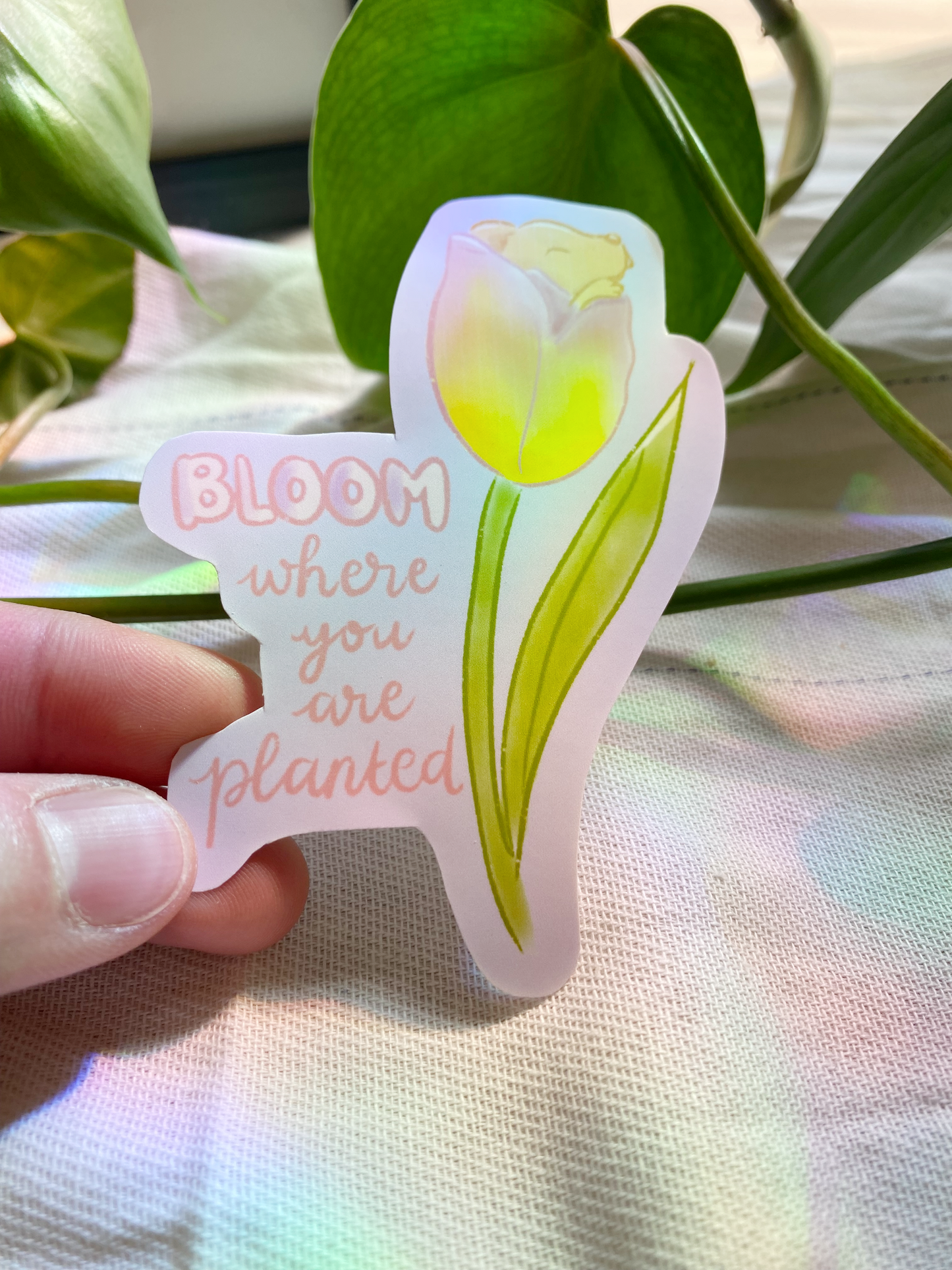 Bloom Where You're Planted Sticker