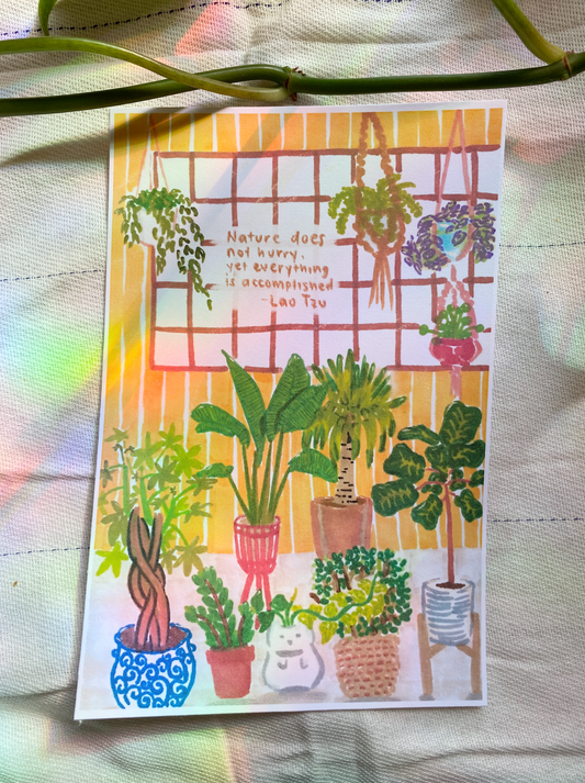 House Plants Print