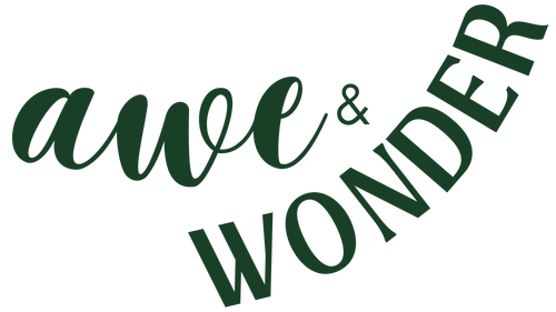 Awe and Wonder